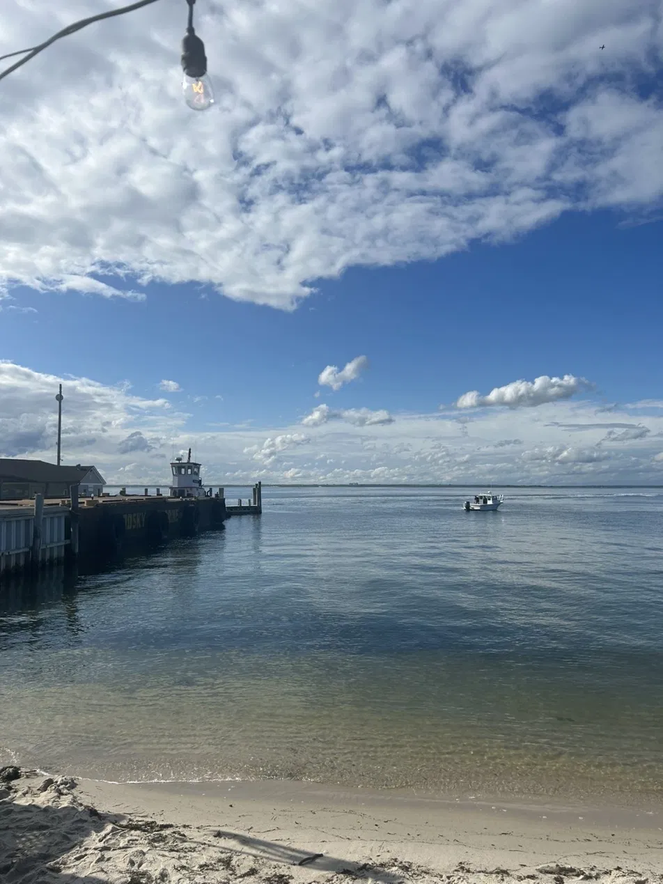 Long Island photo 6